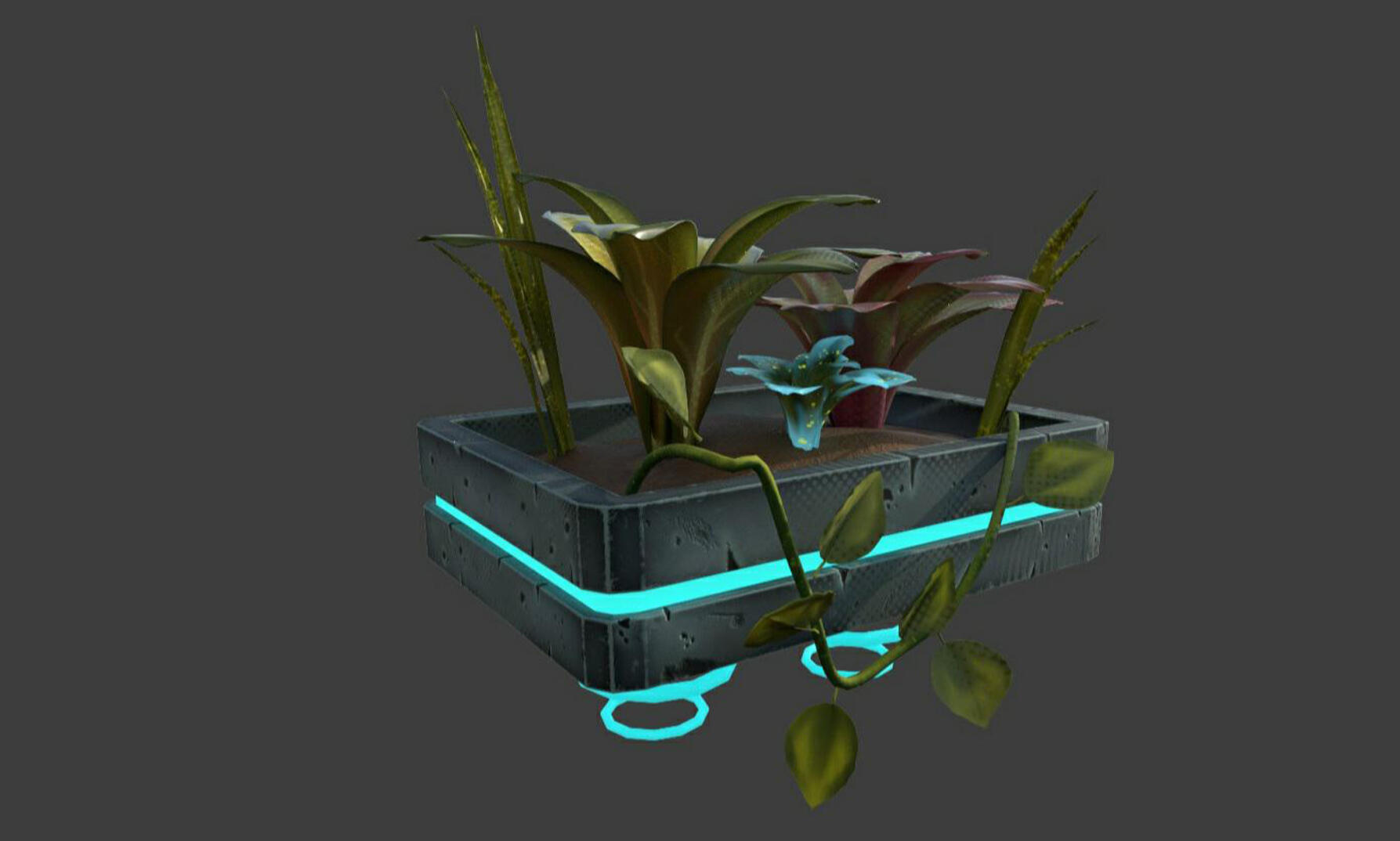 3d plant box